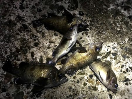 フロートメバリング