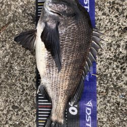 イチノ兄弟、釣果!