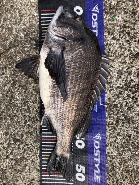 イチノ兄弟、釣果!