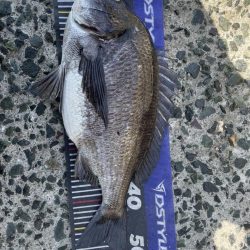 イチノ兄弟、釣果!