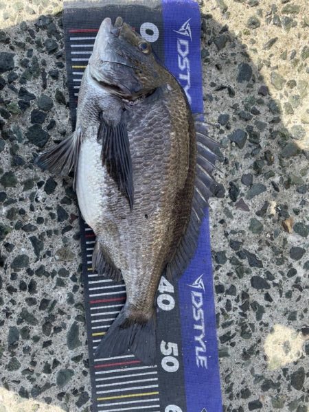 イチノ兄弟、釣果!