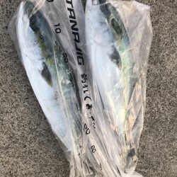 三国沖　春のジギング祭り開催！！