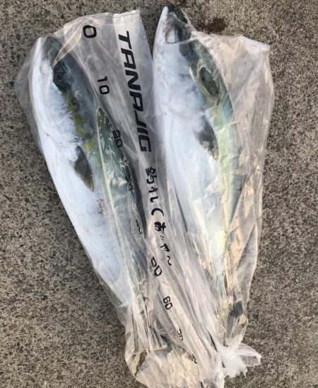 三国沖　春のジギング祭り開催！！