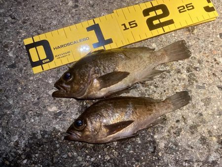 しばらくぶりの北淡エリアっ！