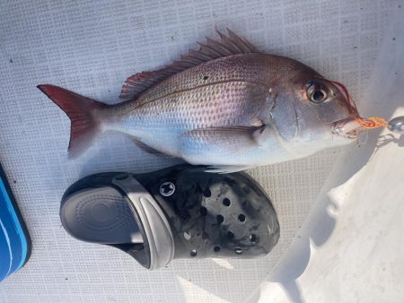 ノッコミはじまり？