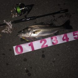 ががっときました。