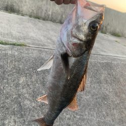 買い物の帰りに寄り道