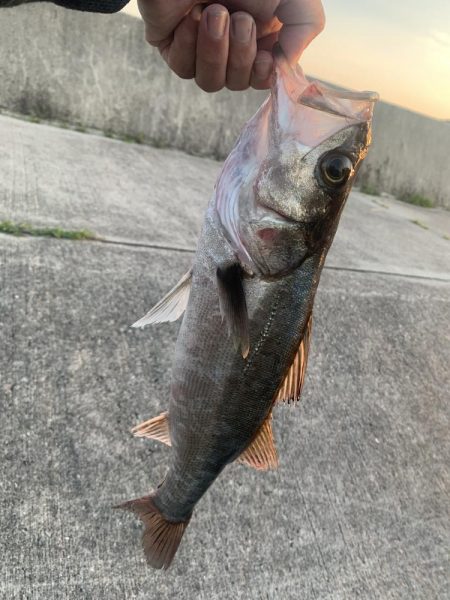 買い物の帰りに寄り道