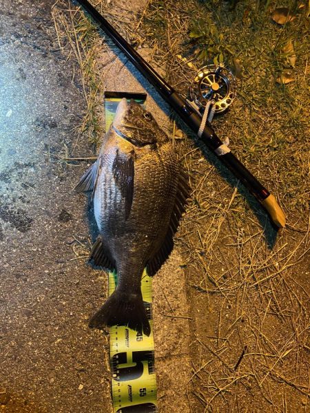 ヘチってきました