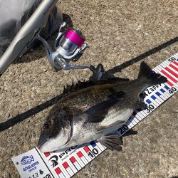 諦めたらあかん!