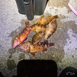 文字通り横取り