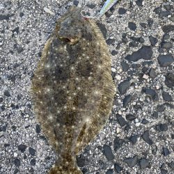 ジギングからヤリイカ！