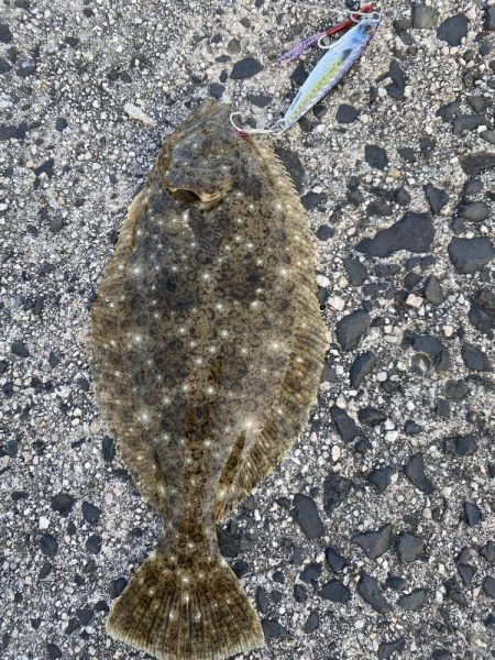 ジギングからヤリイカ！