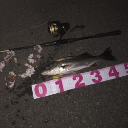 ががっときました。