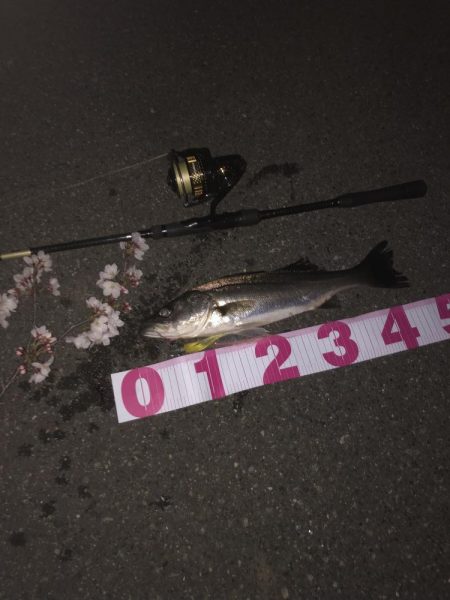 ががっときました。