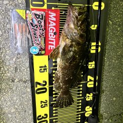 久しぶりのライトゲーム