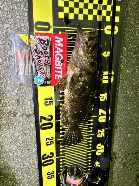 久しぶりのライトゲーム