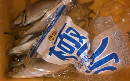 アミパターン対策