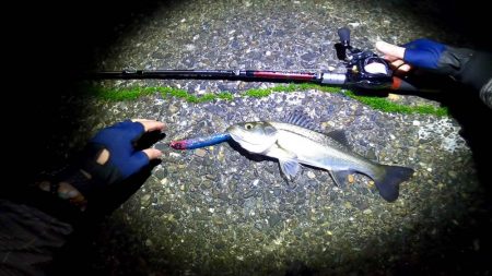 食い意地があるチビーバス