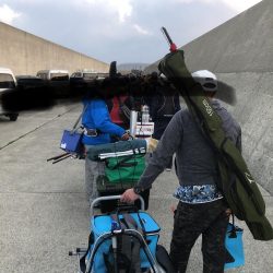 ハッピーハッピー