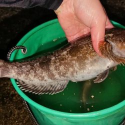 閖上漁港周辺の釣行
