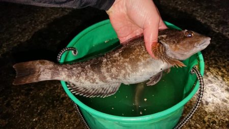 閖上漁港周辺の釣行