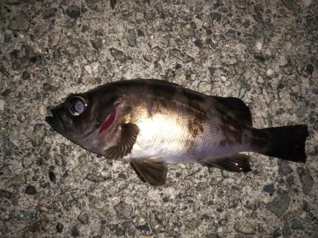 ハリ先の確認は必須