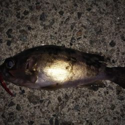 ピンクムーンが邪魔をする