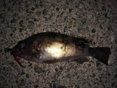 ピンクムーンが邪魔をする