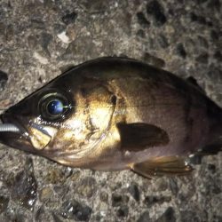 最後の1投で「つ抜け」達成