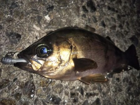 最後の1投で「つ抜け」達成