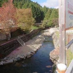 アマゴ釣り（管理釣り場）