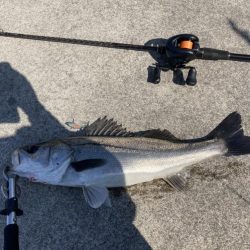 仕事終わりの短時間