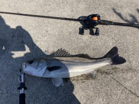 仕事終わりの短時間