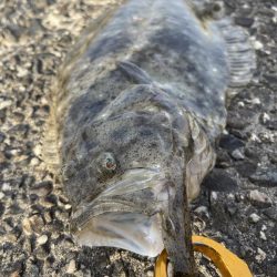 夕方16時過ぎスタート!