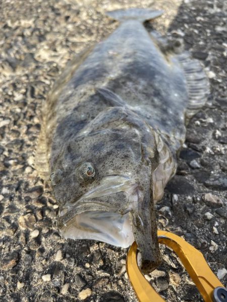 夕方16時過ぎスタート!