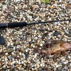 鳥飼漁港にて穴釣り!まだ寒いが、果たして釣れるのだろうか?