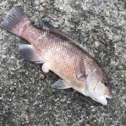 雨が降るまでに