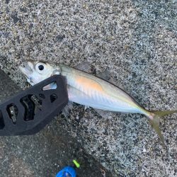 春がきたϵ( \’Θ\’ )϶