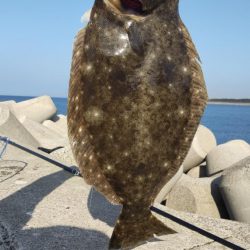 久しぶりの狙い通り！