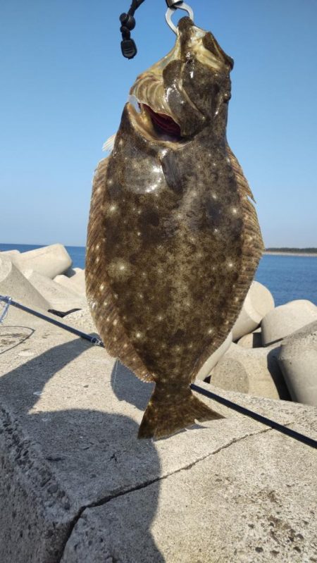 久しぶりの狙い通り！