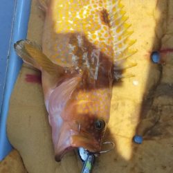 巻き巻きネギング