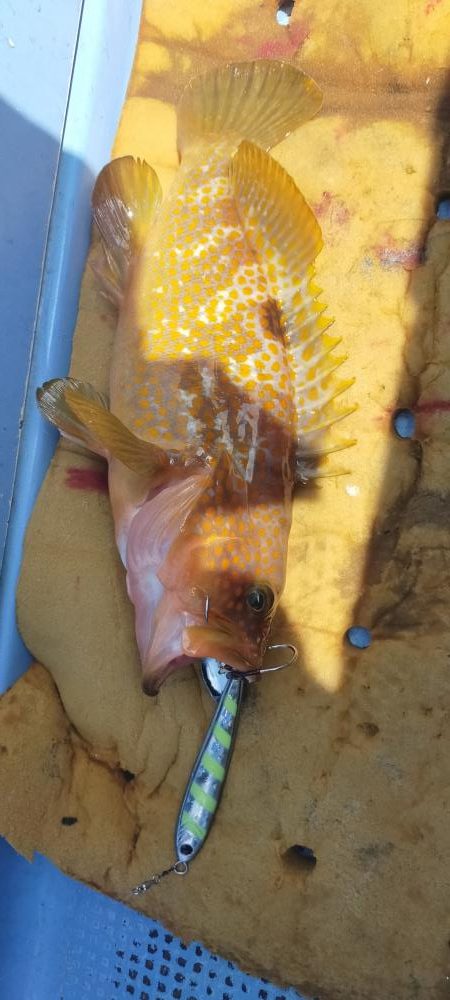 巻き巻きネギング