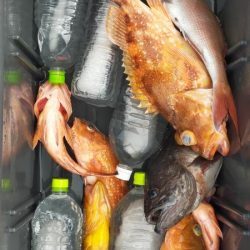 巻き巻きネギング