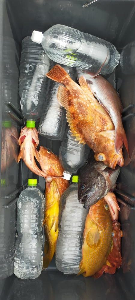 巻き巻きネギング