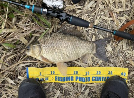 野池でショアジギングタックルでフナ！！