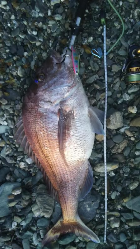 青物狙いからの…まさかの外道