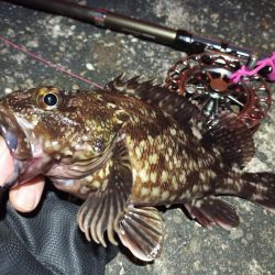 2022/04/17 南港ヘチ釣り釣行