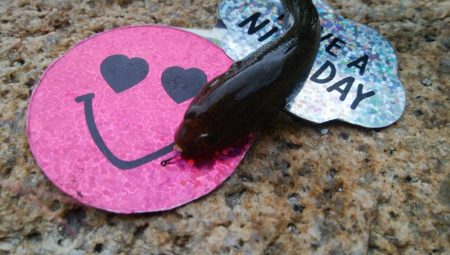 【小物釣り開幕(^^)】