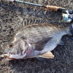 初めての場所でライトワインド調査！